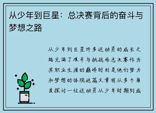 从少年到巨星：总决赛背后的奋斗与梦想之路